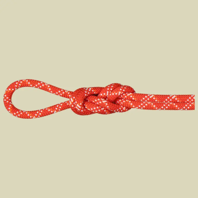 Mammut 9.5 Gym Classic Rope classic standard raspberry-white 40 m Must-Have